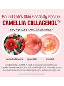 [ROUND LAB] Camellia Deep Collagen Firming Ampoule (30ml/1.01fl.oz)