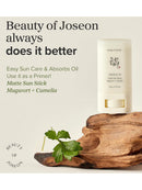 [Beauty of Joseon] Matte Sun Stick - Mugwort + Camellia (18g/0.61fl.oz)