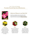 Re:NK Cell to Cell Essence (70 ml / 2.4 fl.oz)