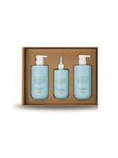 [The Na+] Green Therapy Premium Set (Shampoo 500ML X2Ea + Treatment 300ML)