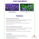 Lavender LPT Treatment 1200ML